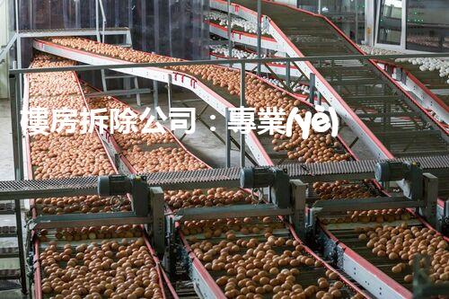 樓房拆除公司：專業(yè)高效，安全拆除專家